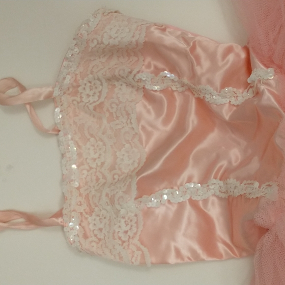 Pink Ballet Dance Costume Fairy Princess Nice Quality Net Circle Skirt Satin Top - Picture 2 of 8